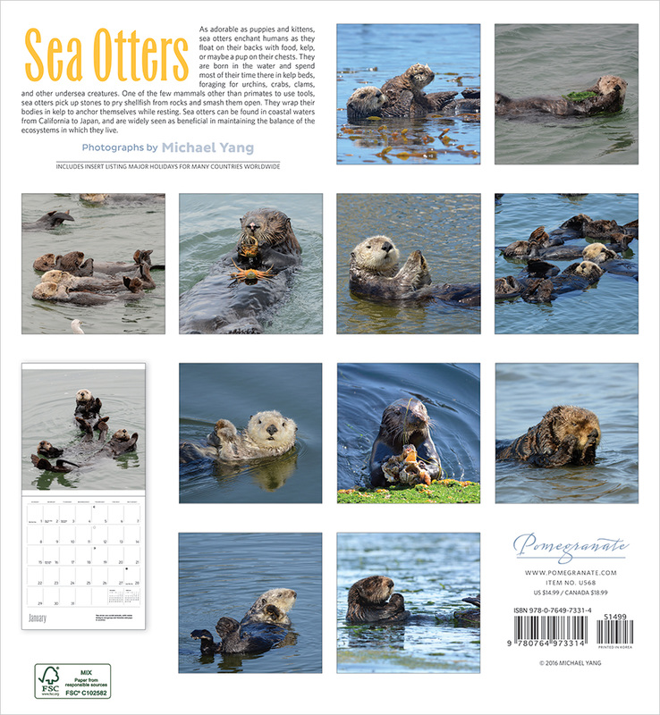 2017 Sea Otters Calendar by Michael Yang - Back
